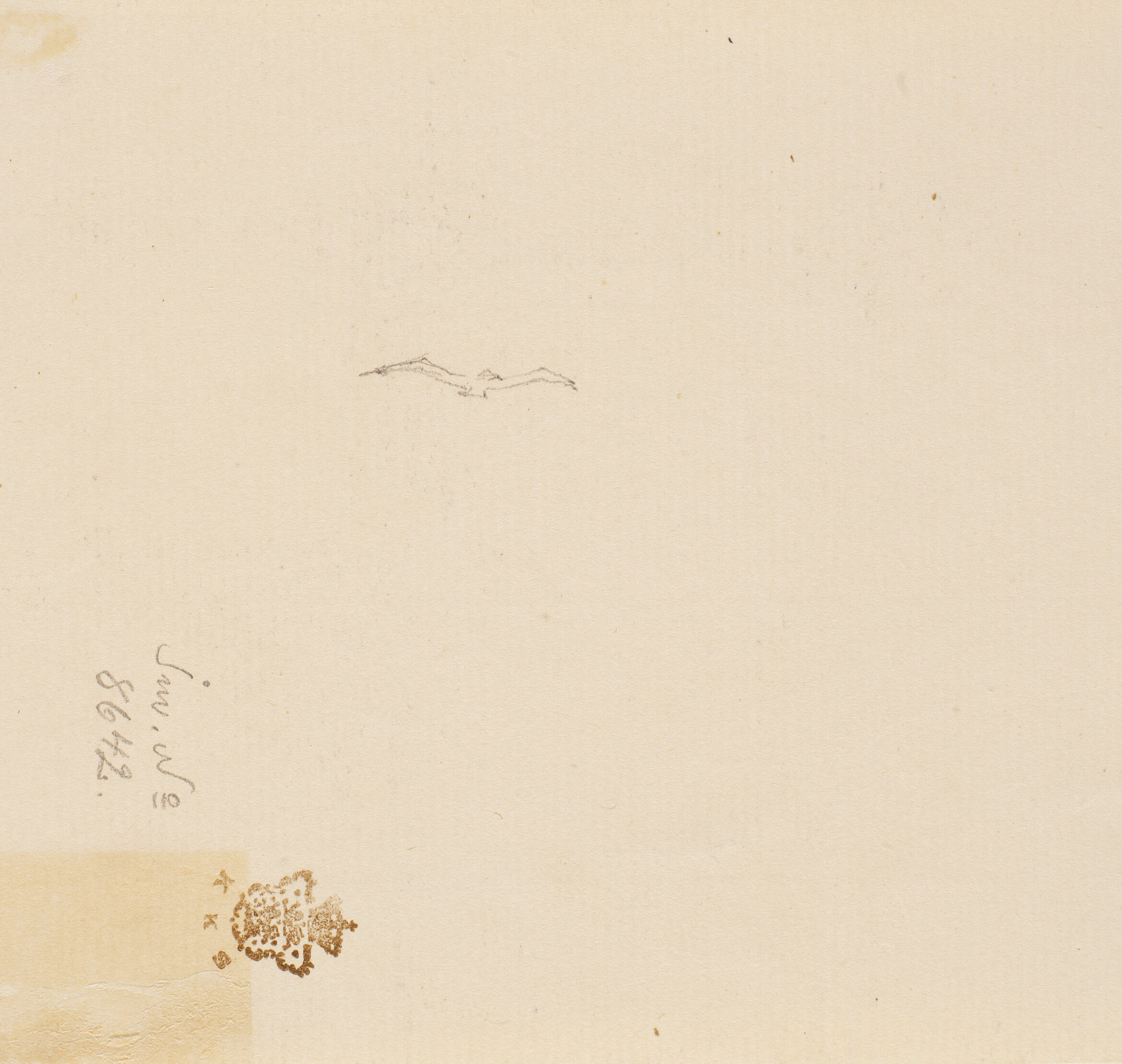 Rids af flyvende fugl